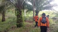 1000981471 Pria 60 Tahun Hilang di Kebun Sawit Sekadau, Tim SAR Gabungan Lakukan Pencarian