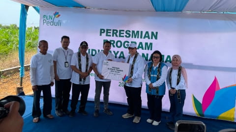 TJSL PLN Hadirkan Program Jahe Gajah di Antibar Mempawah