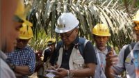 1001031528 BPDP dan Ditjenbun bersama PT TKM Gelar Diklat Budi Daya Strategis Bagi Petani Sawit di Kalbar