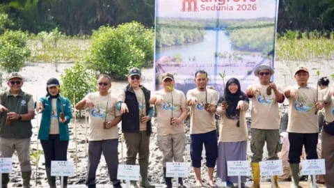 Kubu Raya Larang Penebangan Mangrove, Genjot Revitalisasi