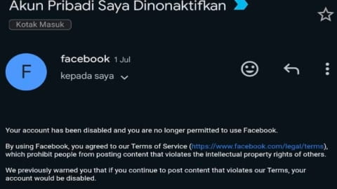 Menggugat Kesewenang-wenangan Meta, Saatnya Diversifikasi ke Google dan TikTok