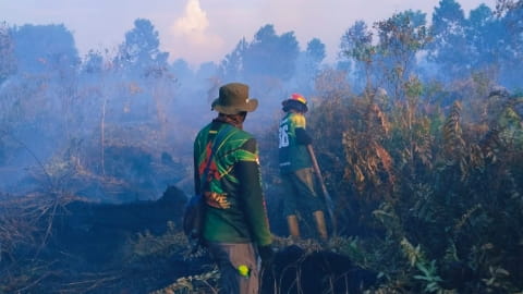 Karhutla Kubu Raya Masih Membara, Keterbatasan Air Hambat Pemadaman