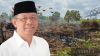 Belajar dari Pontura atau Siantan, Sutarmidji Dorong Pengelolaan Gambut Tanpa Bakar