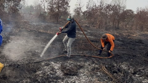 94 Titik Api Terdeteksi, Petugas Gabungan Berjibaku Padamkan Karhutla di Kubu Raya