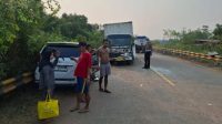 1001136927 Adu Banteng di KM 60 Kubu Raya, Dua Pengemudi Terluka